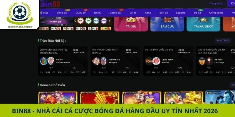 Bin88 - Nhà Cái Cá Cược Bóng Đá Hàng Đầu Uy Tín Nhất 2026
