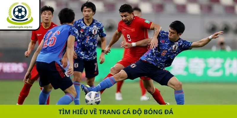 Tìm hiểu về trang cá độ bóng đá