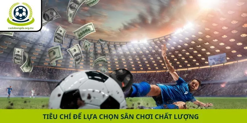Tiêu chí để lựa chọn sân chơi chất lượng