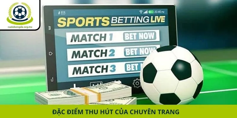 Đặc điểm thu hút của chuyên trang