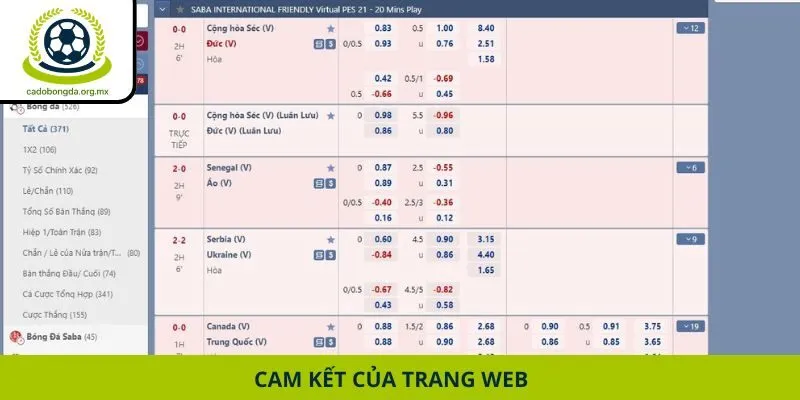 Cam kết của trang web