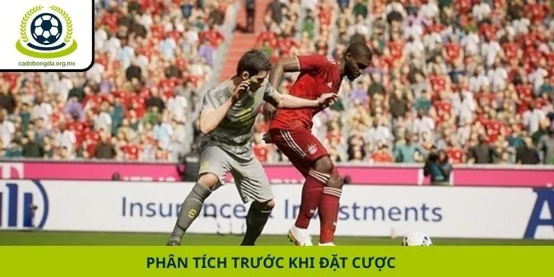 Phân tích trước khi đặt cược
