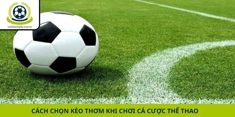 Cách chọn kèo thơm khi chơi cá cược thể thao