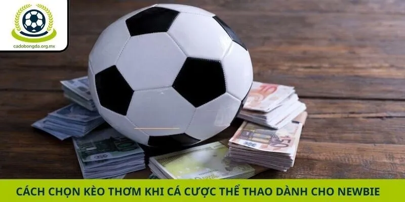 Cách chọn kèo thơm khi cá cược thể thao dành cho newbie