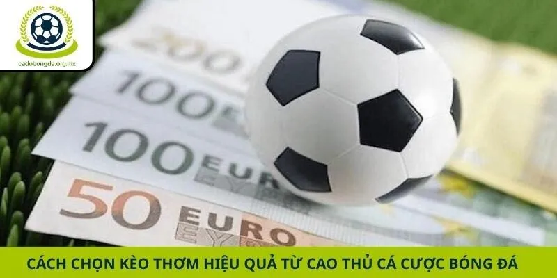 Cách Chọn Kèo Thơm Hiệu Quả Từ Cao Thủ Cá Cược Bóng Đá