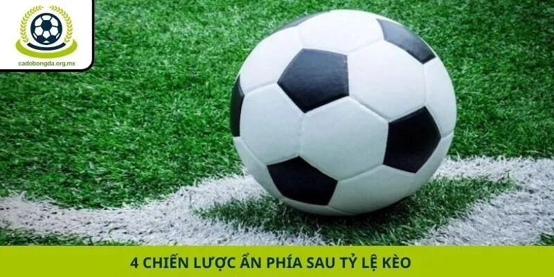 4 chiến lược ẩn phía sau tỷ lệ kèo