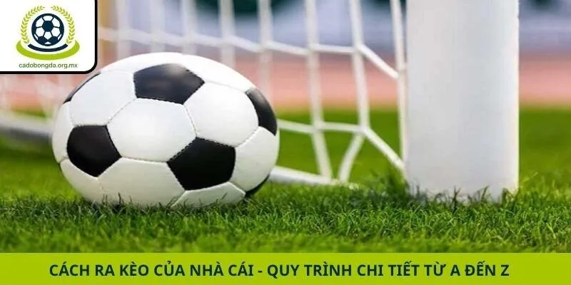 Cách Ra Kèo Của Nhà Cái - Quy Trình Chi Tiết Từ A Đến Z