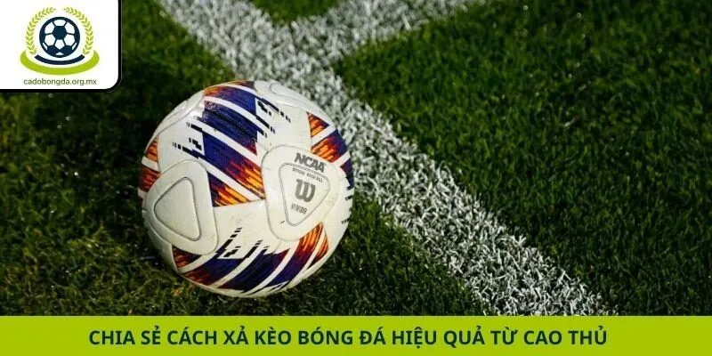 Chia sẻ cách xả kèo bóng đá hiệu quả từ cao thủ