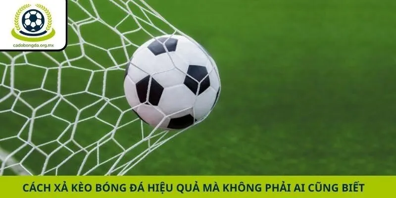 Cách Xả Kèo Bóng Đá Hiệu Quả Mà Không Phải Ai Cũng Biết