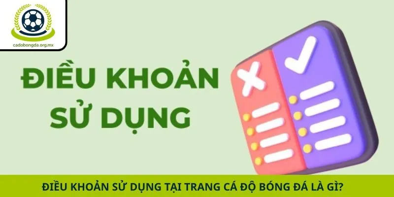 Điều khoản sử dụng tại trang cá độ bóng đá là gì?