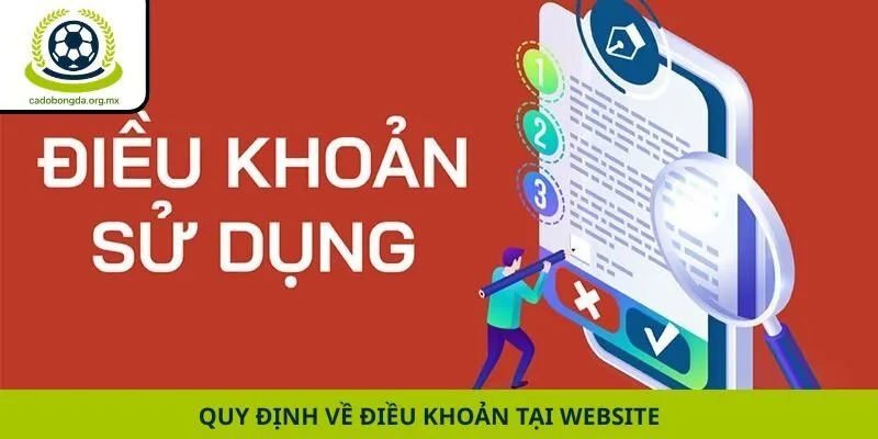 Quy định về điều khoản tại website