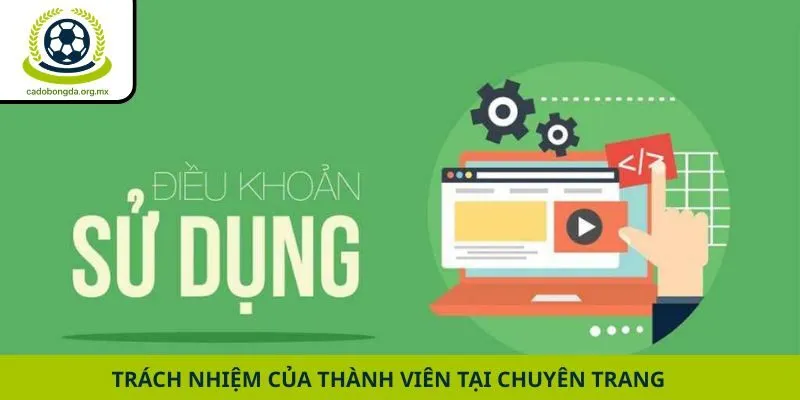 Trách nhiệm của thành viên tại chuyên trang 