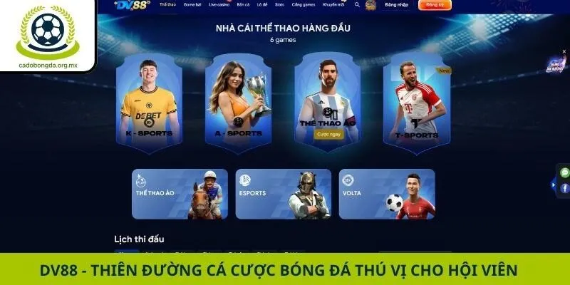 Dv88 - Thiên Đường Cá Cược Bóng Đá Thú Vị Cho Hội Viên