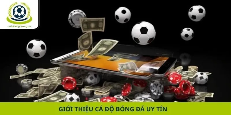 Giới thiệu cá độ bóng đá uy tín