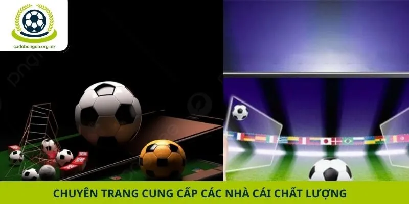 Chuyên trang cung cấp các nhà cái chất lượng