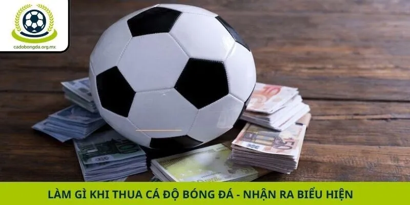 Làm gì khi thua cá độ bóng đá - Nhận ra biểu hiện