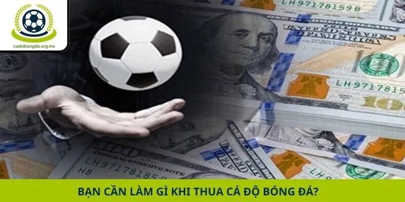 Bạn cần làm gì khi thua cá độ bóng đá?