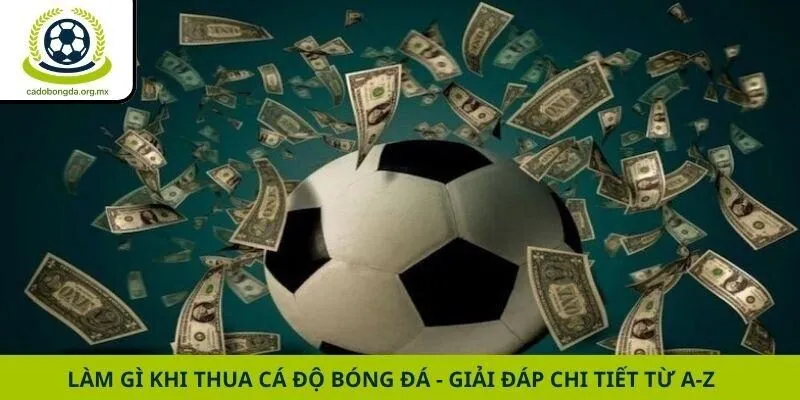 Làm Gì Khi Thua Cá Độ Bóng Đá - Giải Đáp Chi Tiết Từ A-Z