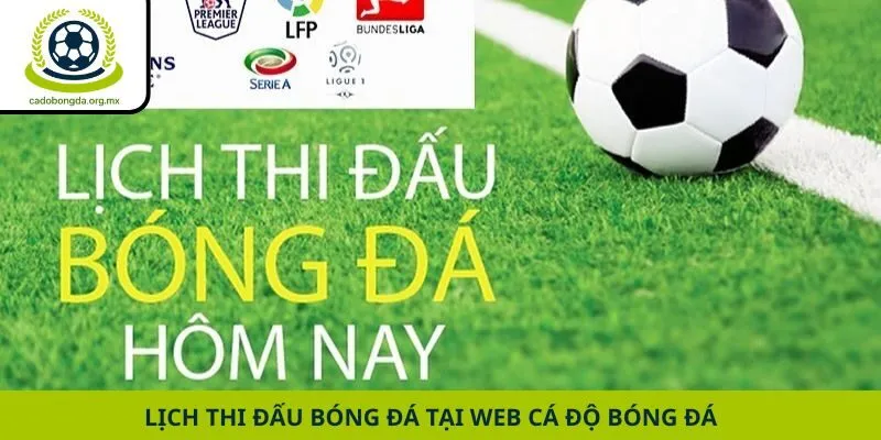 Lịch thi đấu bóng đá tại web cá độ bóng đá