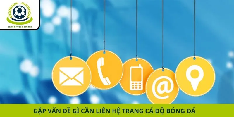 Gặp vấn đề gì cần liên hệ trang cá độ bóng đá