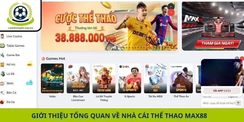 Giới thiệu tổng quan về nhà cái thể thao Max88