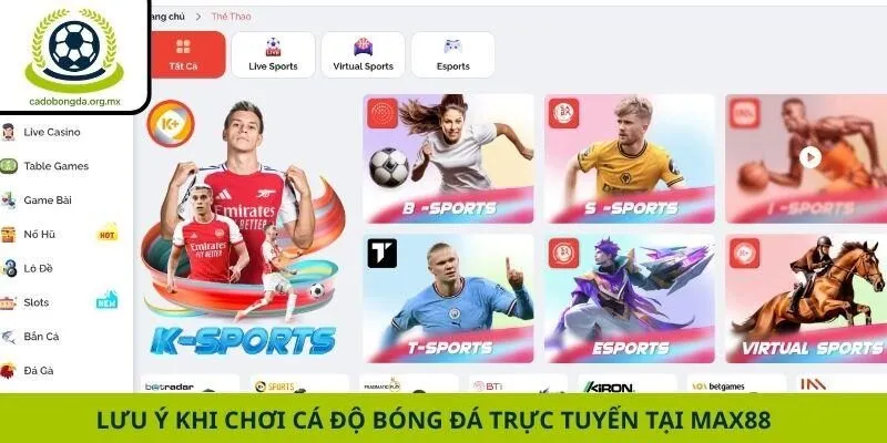 Lưu ý khi chơi cá độ bóng đá trực tuyến tại Max88