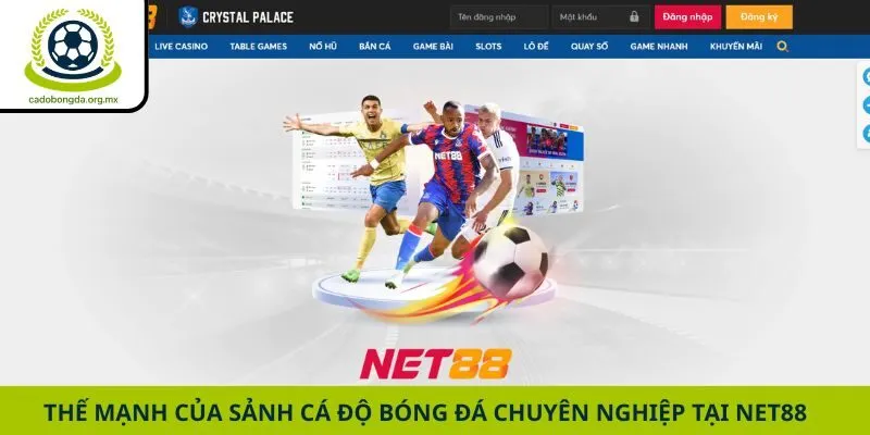 Thế mạnh của sảnh cá độ bóng đá chuyên nghiệp tại Net88
