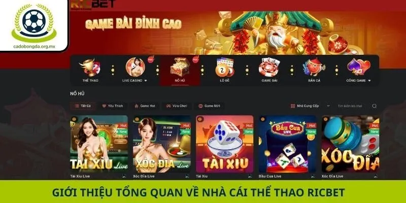 Giới thiệu tổng quan về nhà cái thể thao Ricbet