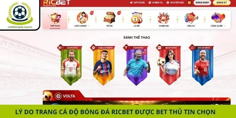 Lý do trang cá độ bóng đá Ricbet được bet thủ tin chọn