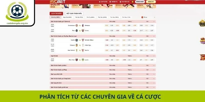 Phân tích từ các chuyên gia về cá cược