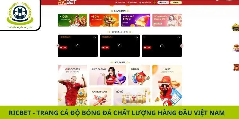 Ricbet - Trang Cá Độ Bóng Đá Chất Lượng Hàng Đầu Việt Nam