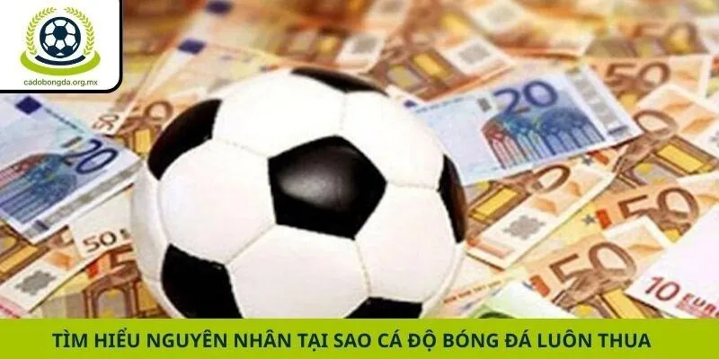 Tìm hiểu nguyên nhân tại sao cá độ bóng đá luôn thua