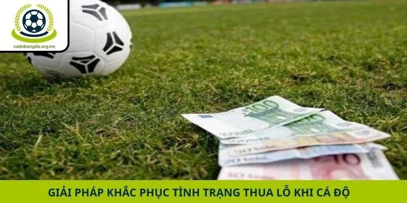 Giải pháp khắc phục tình trạng thua lỗ khi cá độ