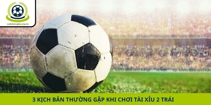 3 kịch bản thường gặp khi chơi Tài Xỉu 2 trái