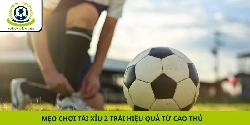Mẹo chơi Tài Xỉu 2 trái hiệu quả từ cao thủ
