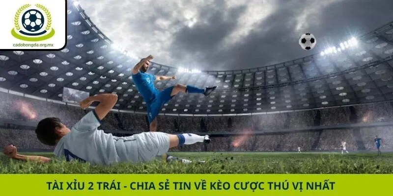 Tài Xỉu 2 Trái - Chia Sẻ Tin Về Kèo Cược Thú Vị Nhất