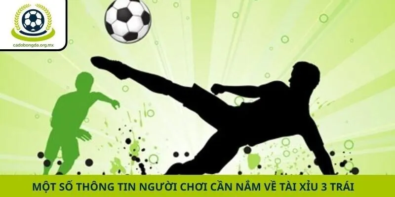 Một số thông tin người chơi cần nắm về tài xỉu 3 trái