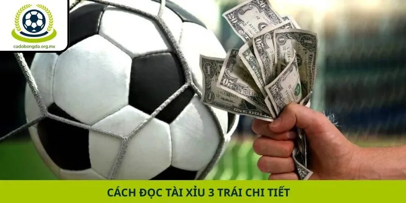 Cách đọc tài xỉu 3 trái chi tiết
