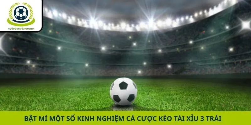 Bật mí một số kinh nghiệm cá cược kèo tài xỉu 3 trái