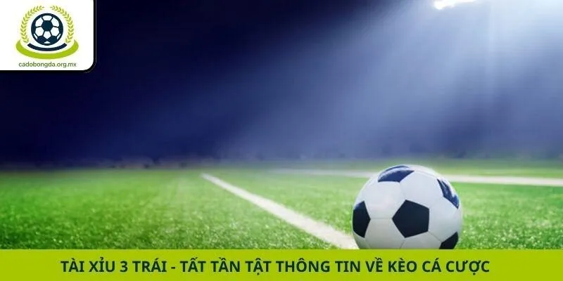 Tài Xỉu 3 Trái - Tất Tần Tật Thông Tin Về Kèo Cá Cược