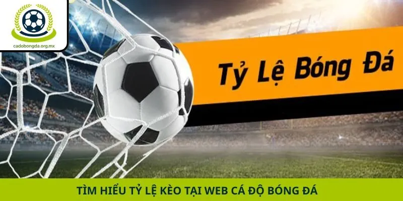 Tìm hiểu tỷ lệ kèo tại web cá độ bóng đá