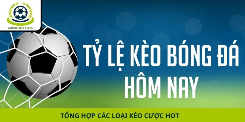Tổng hợp các loại kèo cược hot