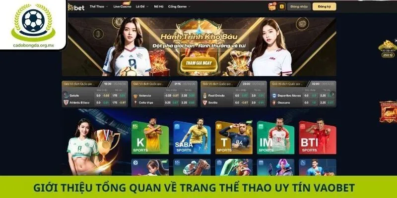 Giới thiệu tổng quan về trang thể thao uy tín Vaobet