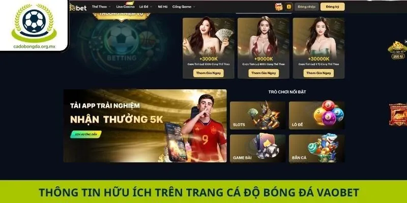Thông tin hữu ích trên trang cá độ bóng đá Vaobet